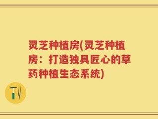灵芝种植房(灵芝种植房：打造独具匠心的草药种植生态系统)