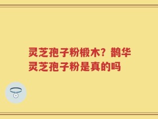 灵芝孢子粉椴木？鹊华灵芝孢子粉是真的吗