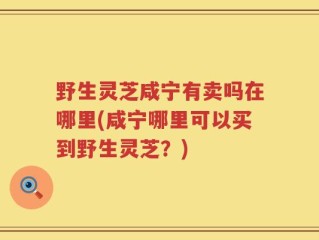 野生灵芝咸宁有卖吗在哪里(咸宁哪里可以买到野生灵芝？)