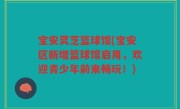 宝安灵芝篮球馆(宝安区新增篮球馆启用，欢迎青少年前来畅玩！)