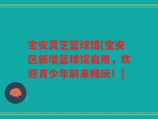 宝安灵芝篮球馆(宝安区新增篮球馆启用，欢迎青少年前来畅玩！)