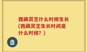 西藏灵芝什么时候生长(西藏灵芝生长时间是什么时候？)