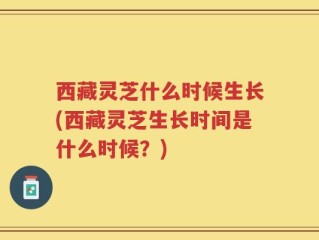 西藏灵芝什么时候生长(西藏灵芝生长时间是什么时候？)