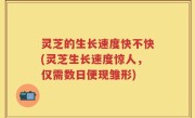 灵芝的生长速度快不快(灵芝生长速度惊人，仅需数日便现雏形)