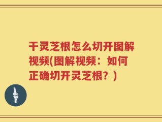 干灵芝根怎么切开图解视频(图解视频：如何正确切开灵芝根？)