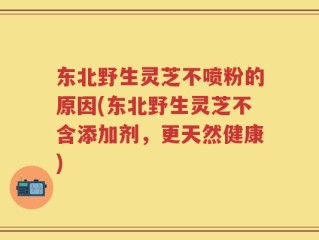 东北野生灵芝不喷粉的原因(东北野生灵芝不含添加剂，更天然健康)