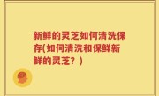 新鲜的灵芝如何清洗保存(如何清洗和保鲜新鲜的灵芝？)