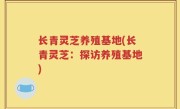 长青灵芝养殖基地(长青灵芝：探访养殖基地)