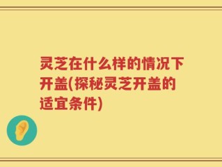 灵芝在什么样的情况下开盖(探秘灵芝开盖的适宜条件)