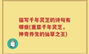 描写千年灵芝的诗句有哪些(重显千年灵芝，神奇养生的仙草之王)