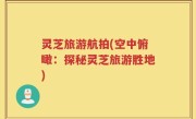 灵芝旅游航拍(空中俯瞰：探秘灵芝旅游胜地)