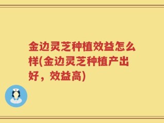 金边灵芝种植效益怎么样(金边灵芝种植产出好，效益高)