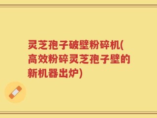 灵芝孢子破壁粉碎机(高效粉碎灵芝孢子壁的新机器出炉)