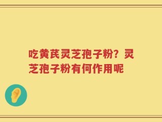吃黄芪灵芝孢子粉？灵芝孢子粉有何作用呢