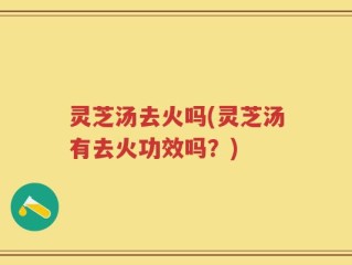 灵芝汤去火吗(灵芝汤有去火功效吗？)
