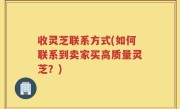 收灵芝联系方式(如何联系到卖家买高质量灵芝？)