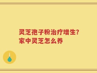 灵芝孢子粉治疗增生？家中灵芝怎么养