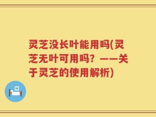 灵芝没长叶能用吗(灵芝无叶可用吗？——关于灵芝的使用解析)