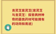 青灵芝紫灵芝(紫灵芝与青灵芝：探索两种神奇的菌类药材可能拥有的功效和用途)