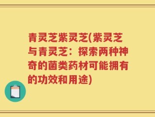 青灵芝紫灵芝(紫灵芝与青灵芝：探索两种神奇的菌类药材可能拥有的功效和用途)