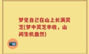 梦见自己在山上长满灵芝(梦中灵芝丰收，山间生机盎然)