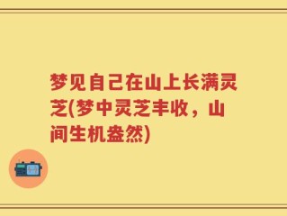 梦见自己在山上长满灵芝(梦中灵芝丰收，山间生机盎然)