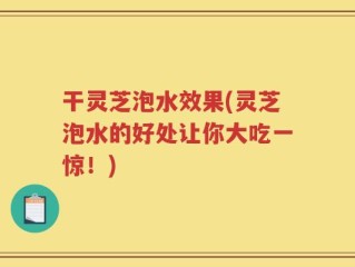 干灵芝泡水效果(灵芝泡水的好处让你大吃一惊！)