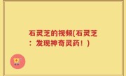 石灵芝的视频(石灵芝：发现神奇灵药！)