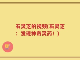石灵芝的视频(石灵芝：发现神奇灵药！)