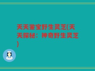 天天鉴宝野生灵芝(天天探秘：神奇野生灵芝)