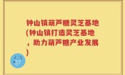 钟山镇葫芦糖灵芝基地(钟山镇打造灵芝基地，助力葫芦糖产业发展)