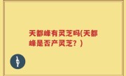 天都峰有灵芝吗(天都峰是否产灵芝？)