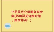 中药灵芝介绍图文大全集(药用灵芝详细介绍，图文并茂！)