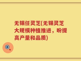 无锡任灵芝(无锡灵芝大规模种植推进，盼提高产量和品质)