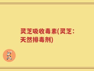 灵芝吸收毒素(灵芝：天然排毒剂)