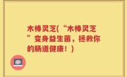 木棒灵芝(“木棒灵芝”变身益生菌，拯救你的肠道健康！)