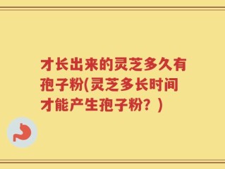 才长出来的灵芝多久有孢子粉(灵芝多长时间才能产生孢子粉？)