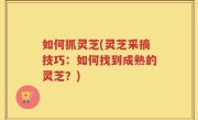 如何抓灵芝(灵芝采摘技巧：如何找到成熟的灵芝？)