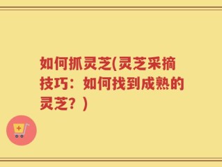 如何抓灵芝(灵芝采摘技巧：如何找到成熟的灵芝？)