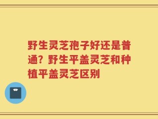 野生灵芝孢子好还是普通？野生平盖灵芝和种植平盖灵芝区别