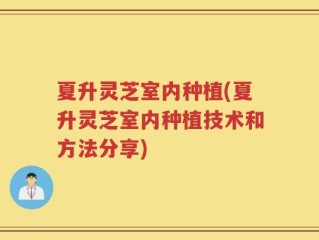 夏升灵芝室内种植(夏升灵芝室内种植技术和方法分享)