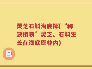 灵芝石斛海底椰(“稀缺植物”灵芝、石斛生长在海底椰林内)