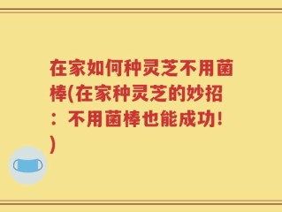 在家如何种灵芝不用菌棒(在家种灵芝的妙招：不用菌棒也能成功！)