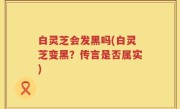 白灵芝会发黑吗(白灵芝变黑？传言是否属实)