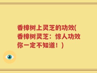 香樟树上灵芝的功效(香樟树灵芝：惊人功效你一定不知道！)