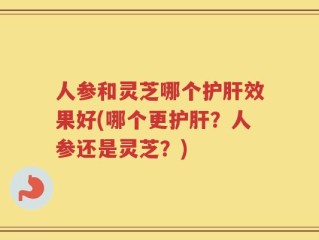 人参和灵芝哪个护肝效果好(哪个更护肝？人参还是灵芝？)