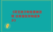 《灵芝孢子粉危害被忽视 这些潜在你知道多少》