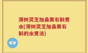 薄树灵芝加桑黄石斛煮水(薄树灵芝加桑黄石斛的水煮法)