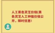 人工黑色灵芝价格(黑色灵芝人工种植价格公开，限时优惠！