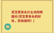 灵芝煮骨头什么功效呢图片(灵芝煮骨头的好处，你知道吗？)